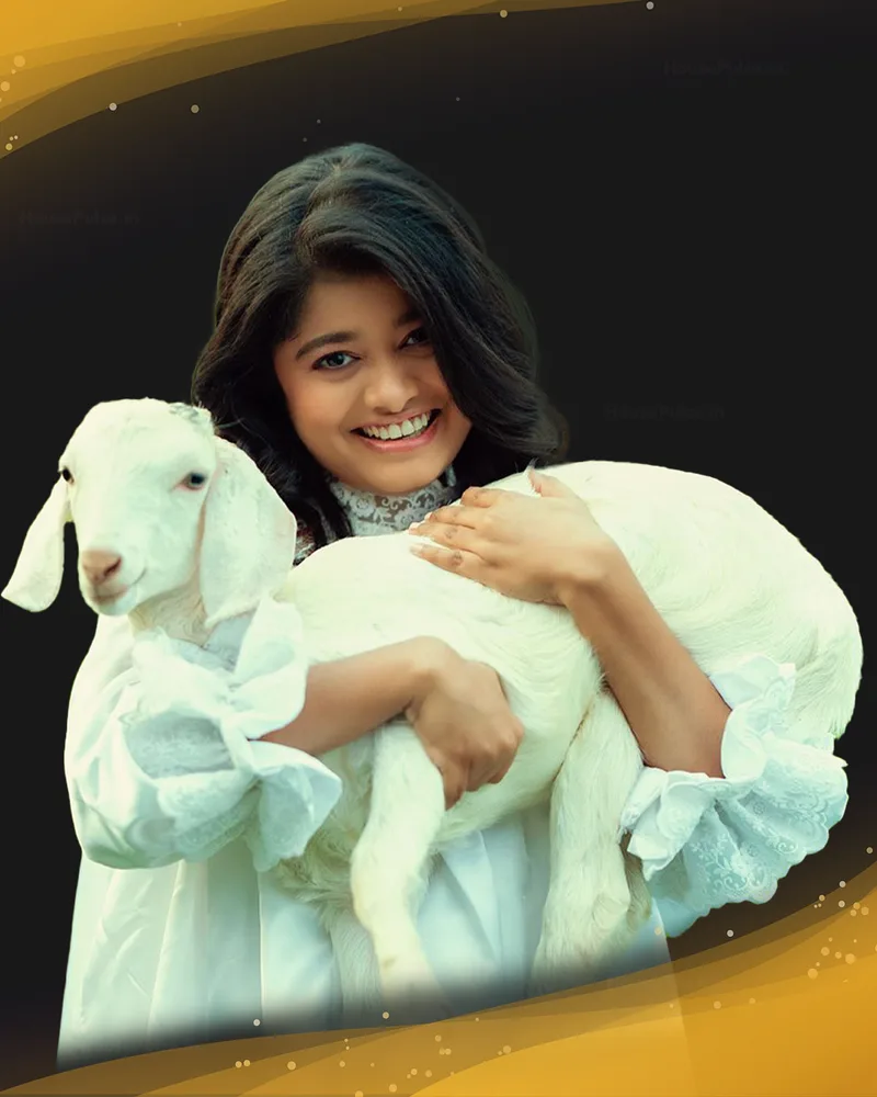 Hanan Hameed, Social Media Influencer, Actress